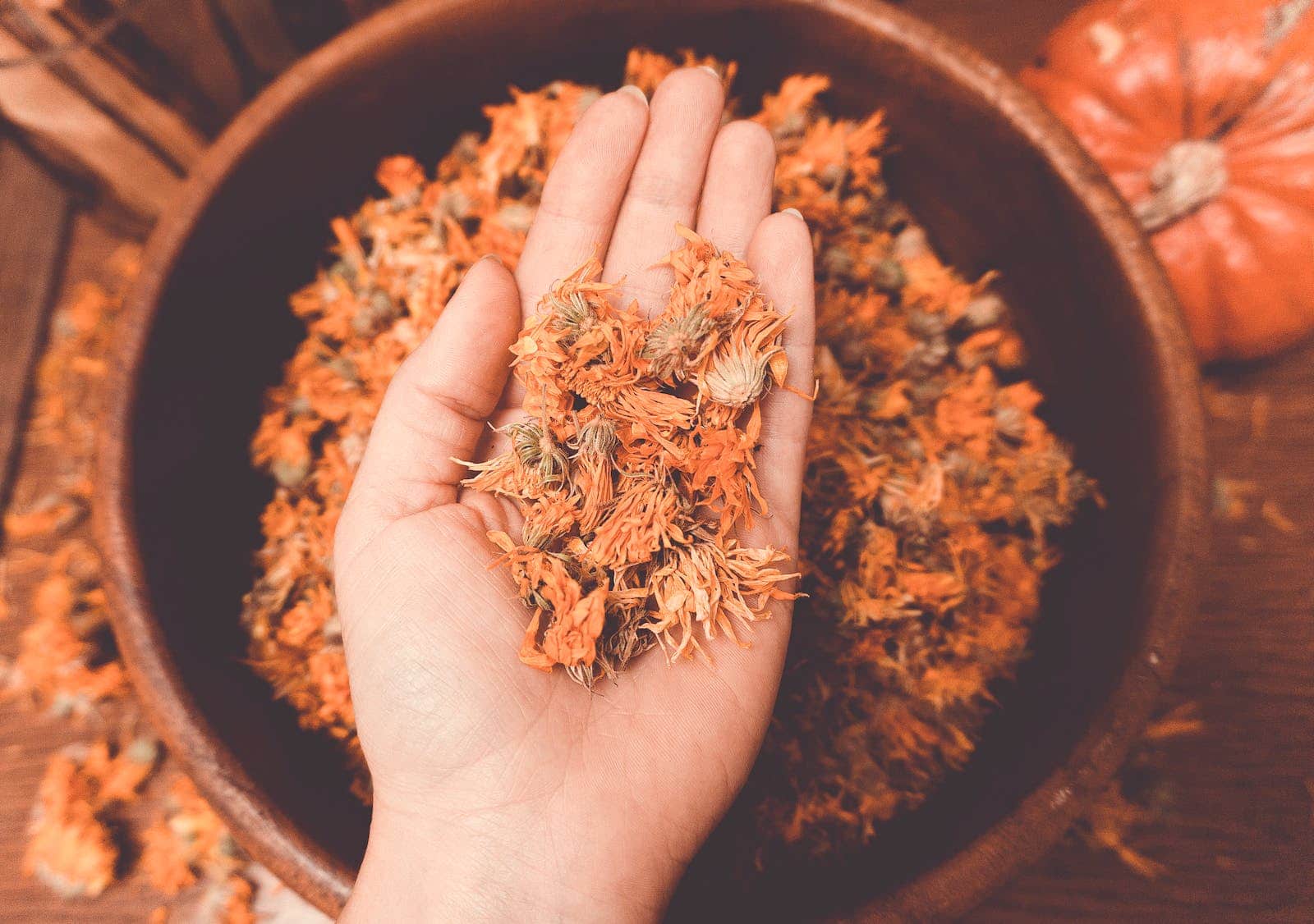 Dried Calendula Flowers on a Naturopath's Hand - itchy red skin