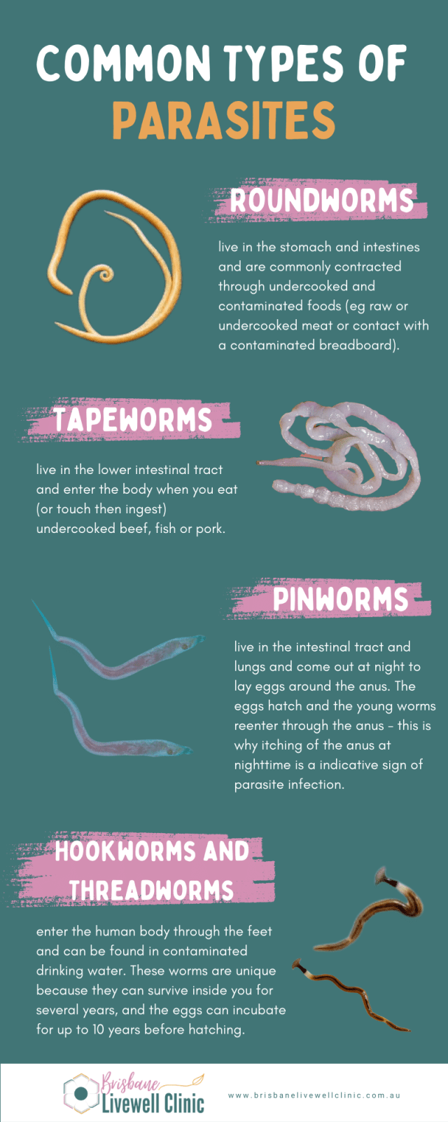 Infographic on Common Types of Parasites and Parasite Cleanse. Brisbane Livewell Clinic Logo