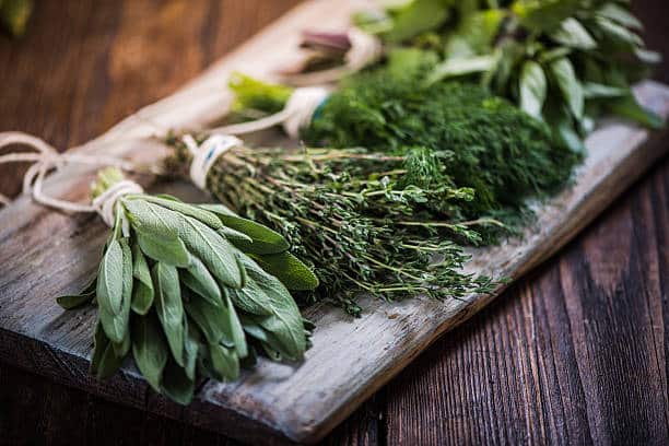 Basil,sage,dill,and thyme herbs on wooden board 