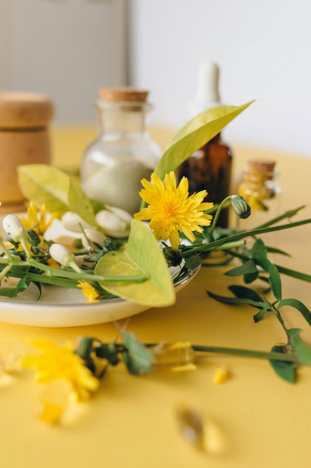 herbal, flowers, natural medicine, alternative medicine