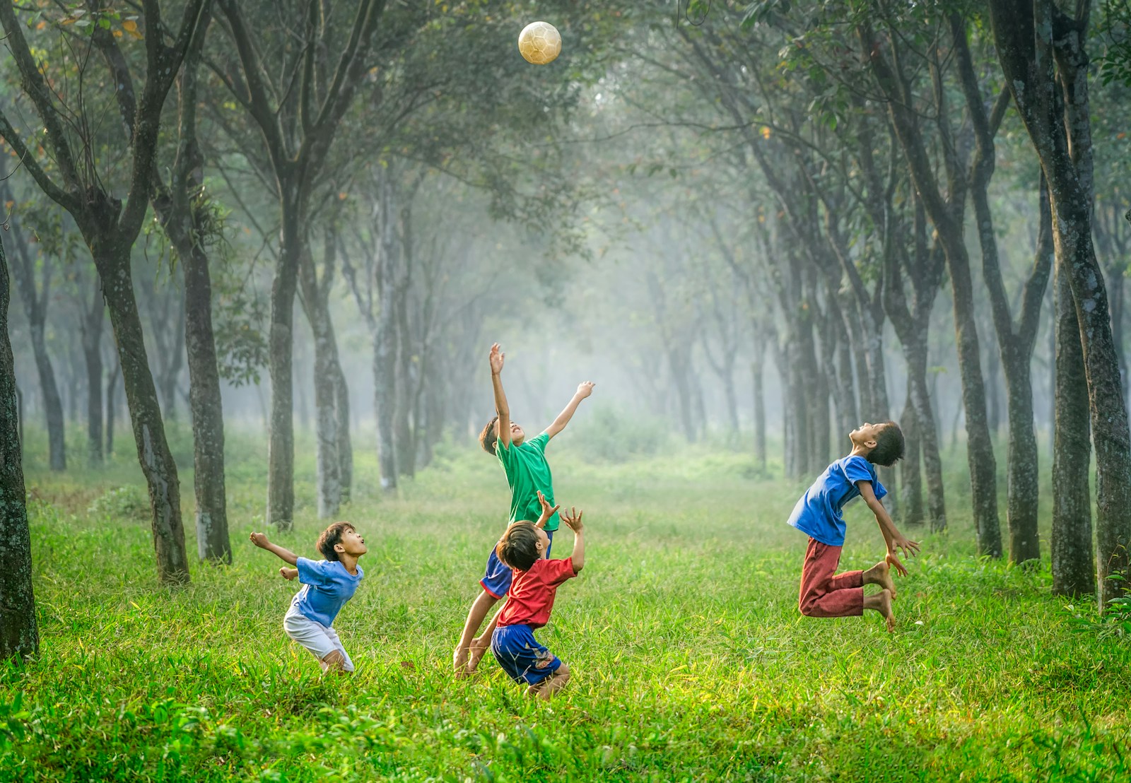 four children playing ball on green grass. Paediatric Physio Near Me