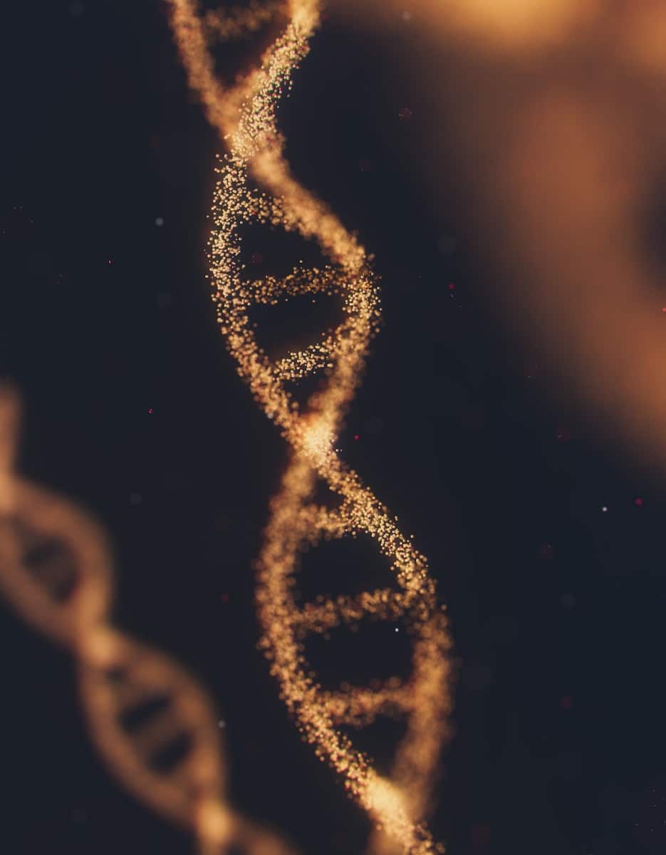 DNA strand from DNA Testing Brisbane